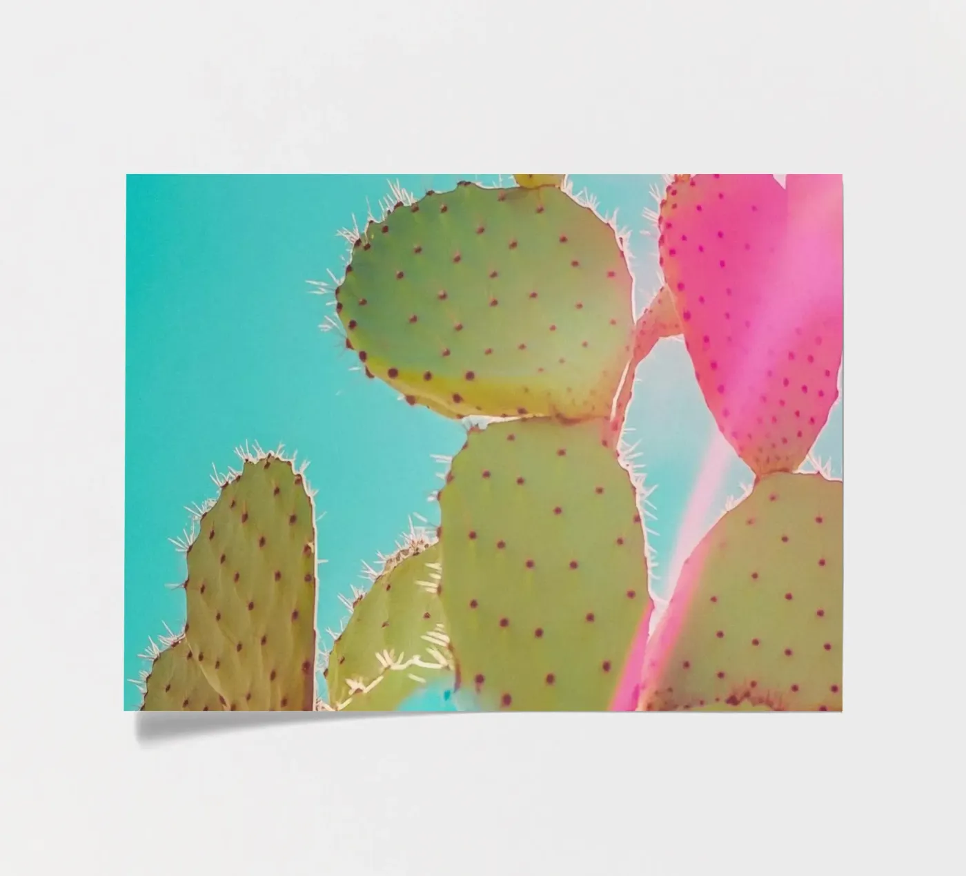 51 sticker sheet by Pink California | Affiches & Posters