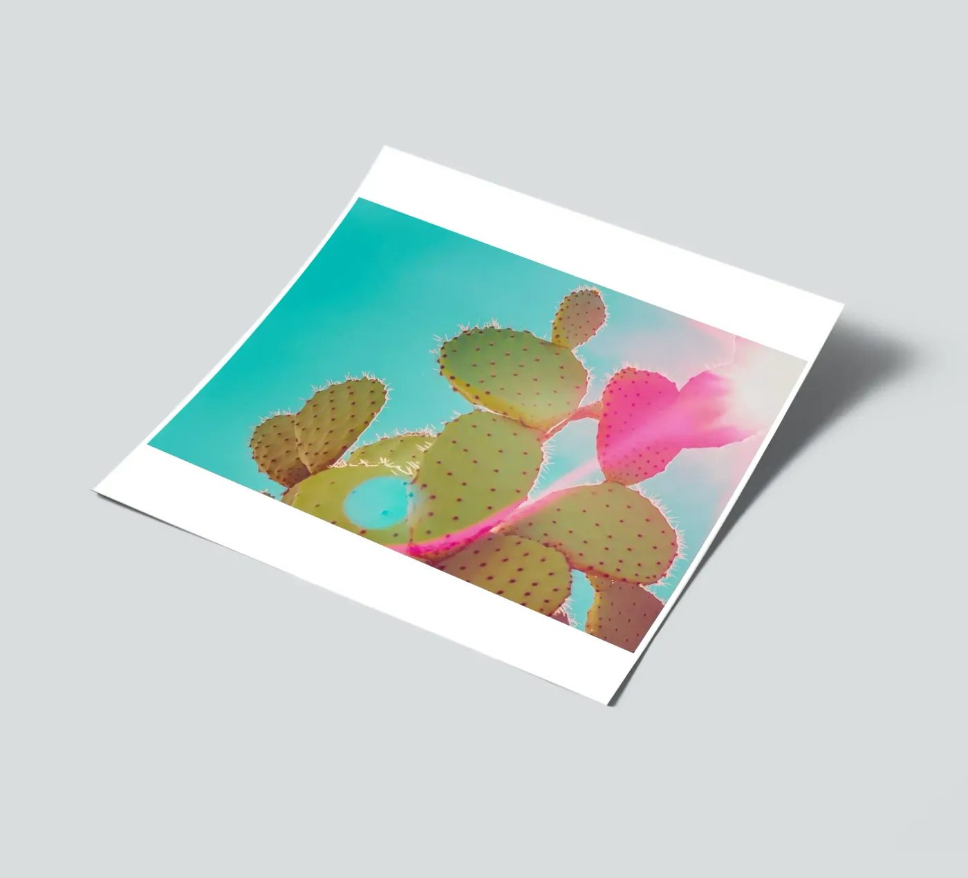 51 sticker sheet by Pink California | Affiches & Posters