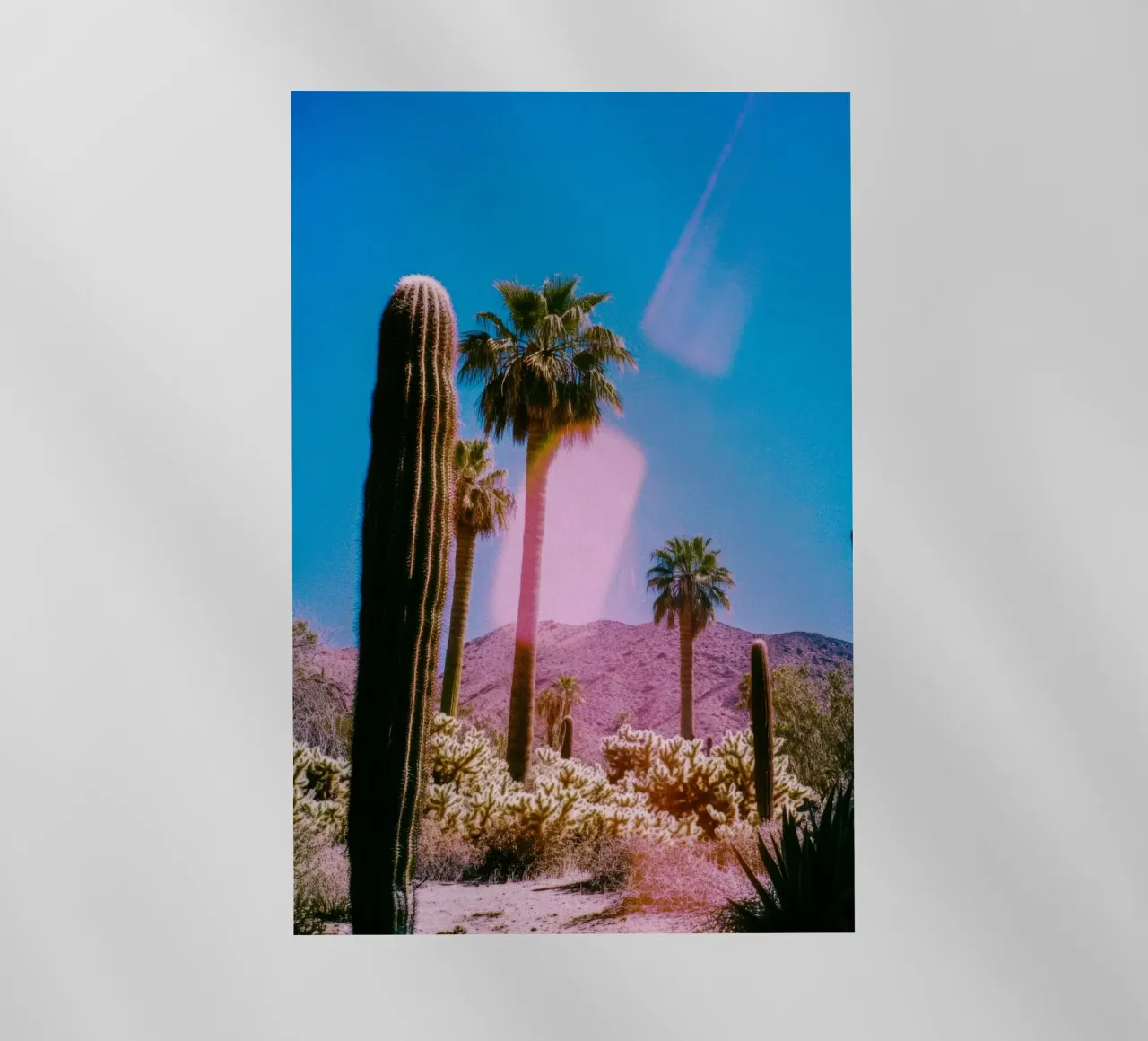 52 pellicola backlit da Pink California | Affiches & Posters