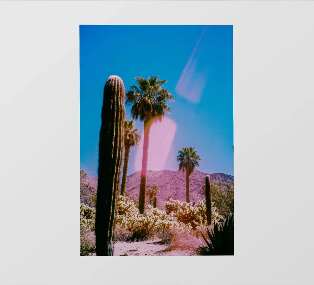 52 fotobehang van Pink California | Affiches & Posters