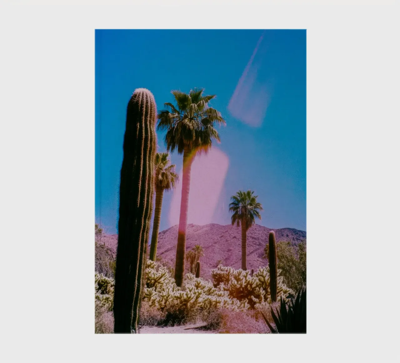 52 notebook by Pink California | Affiches & Posters