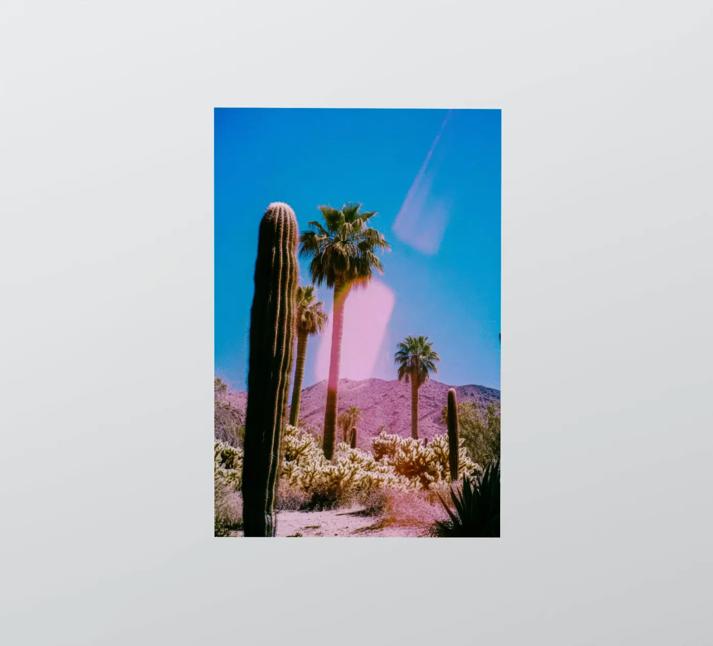 52 sticker by Pink California | Affiches & Posters