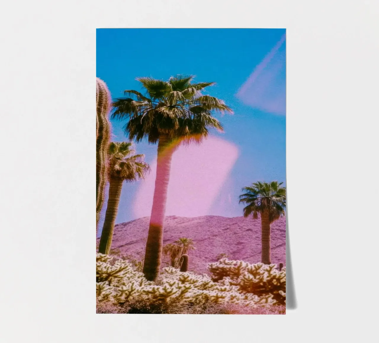 52 sticker sheet by Pink California | Affiches & Posters