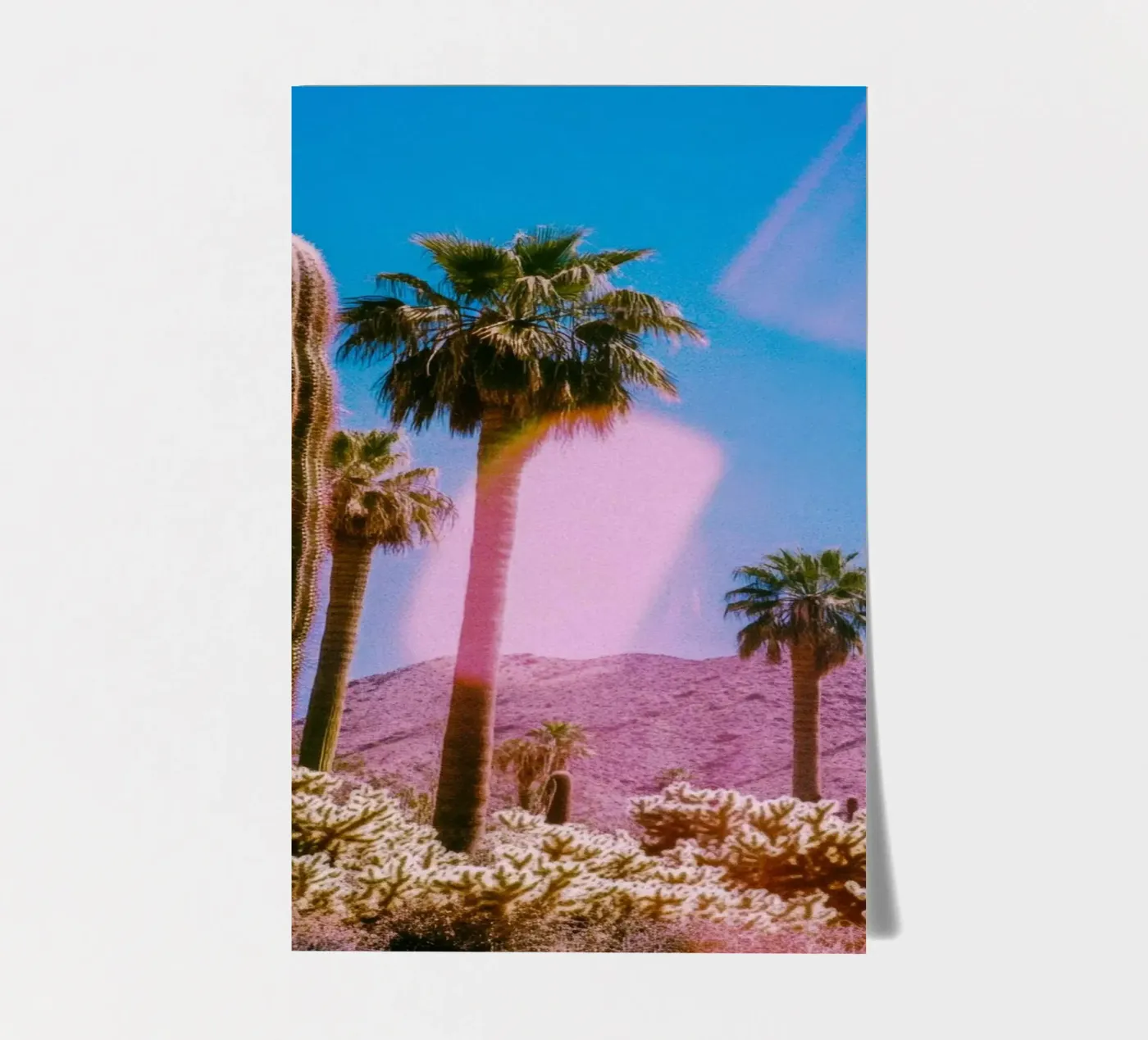 52 stickervel van Pink California | Affiches & Posters