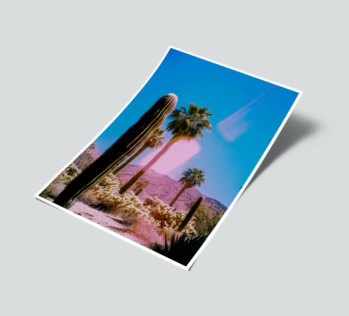 52 stickervel van Pink California | Affiches & Posters