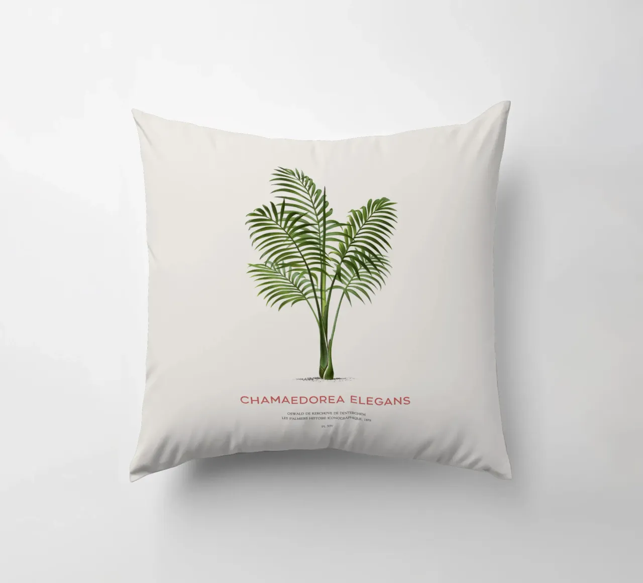 Parlour palm or Chamaedorea elegans decorative cushion by Vintagrafica