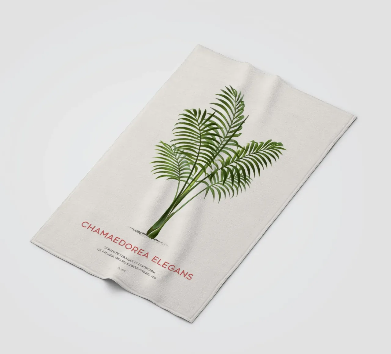 Salatpalme oder Chamaedorea elegans Fleecedecke von Vintagrafica