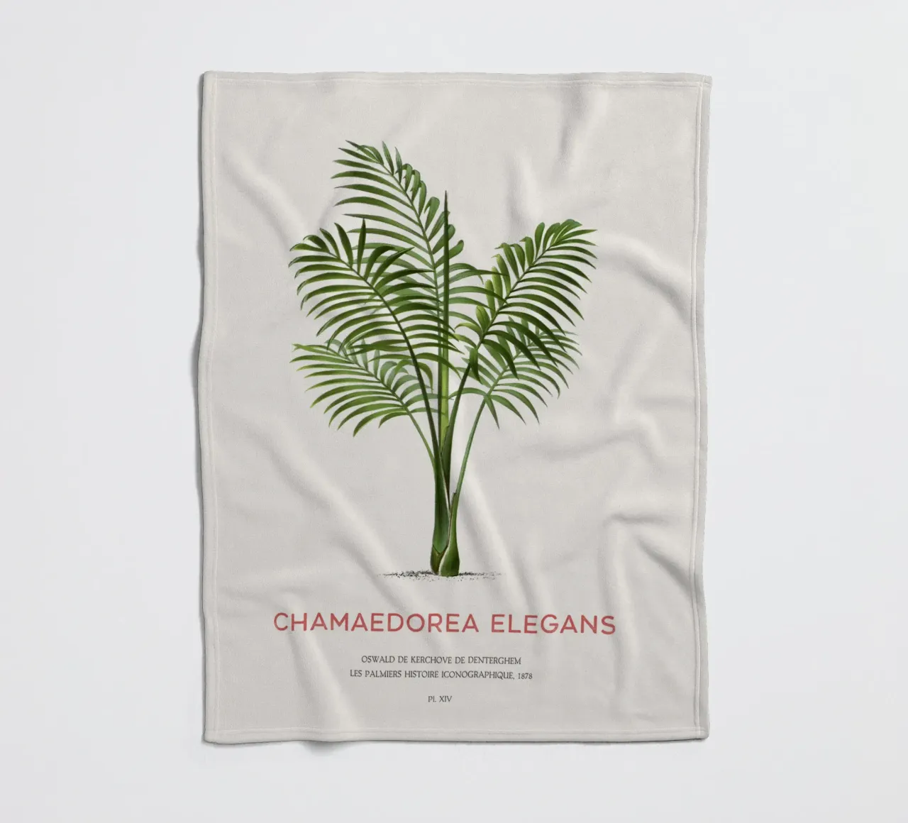 Salatpalme oder Chamaedorea elegans Fleecedecke von Vintagrafica