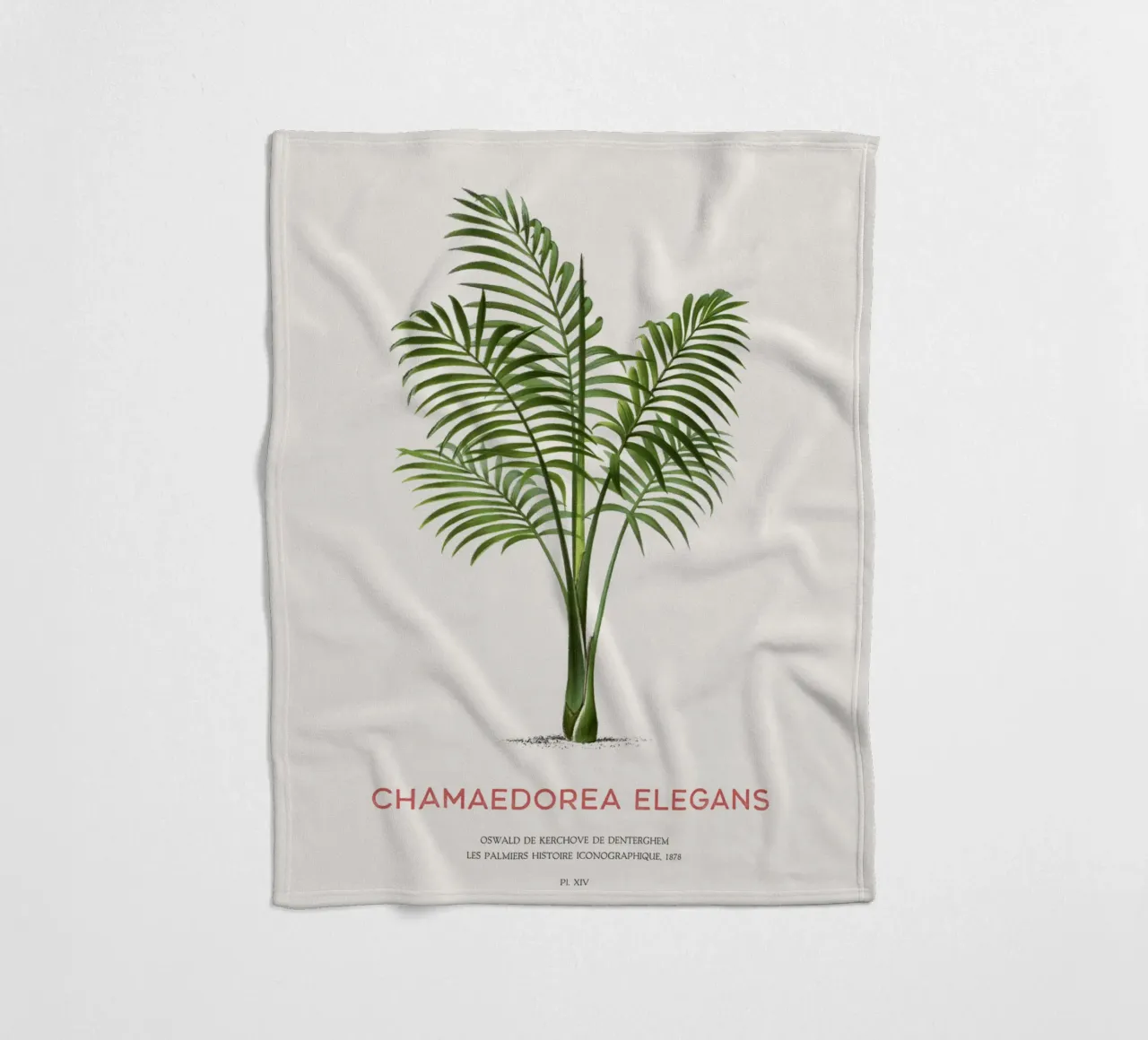 Salatpalme oder Chamaedorea elegans Fleecedecke von Vintagrafica