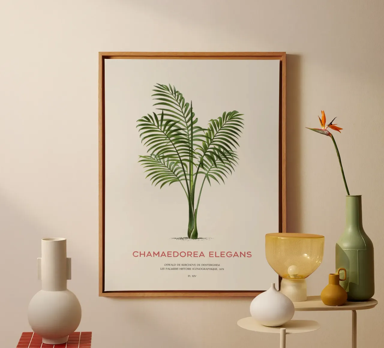 Sierpalm of Chamaedorea elegans canvas met Baklijst van Vintagrafica