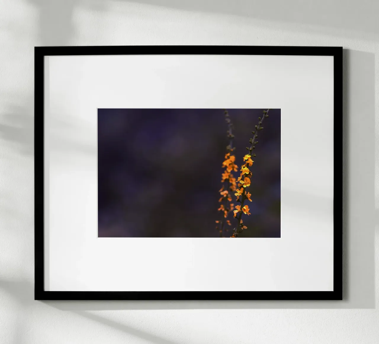 Piccoli fiori arancioni su sfondo blu poster con telaio in plastica da Something for you