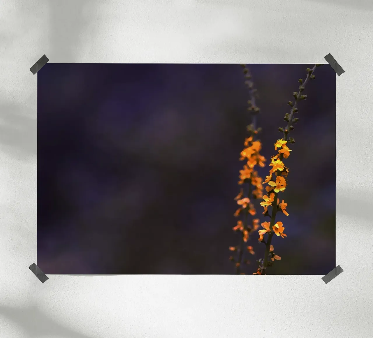 Piccoli fiori arancioni su sfondo blu poster con telaio in plastica da Something for you