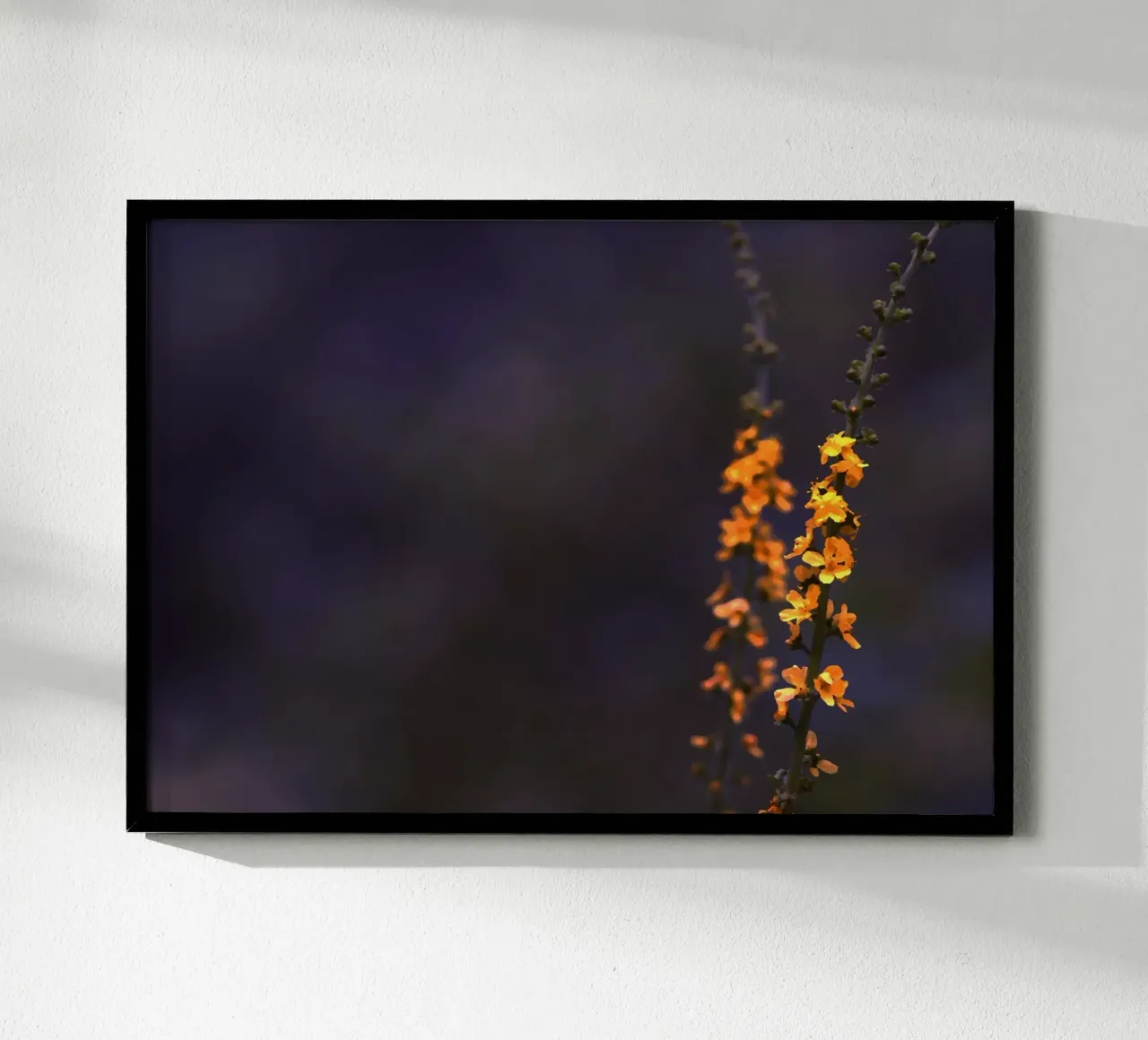 Piccoli fiori arancioni su sfondo blu poster con telaio in plastica da Something for you