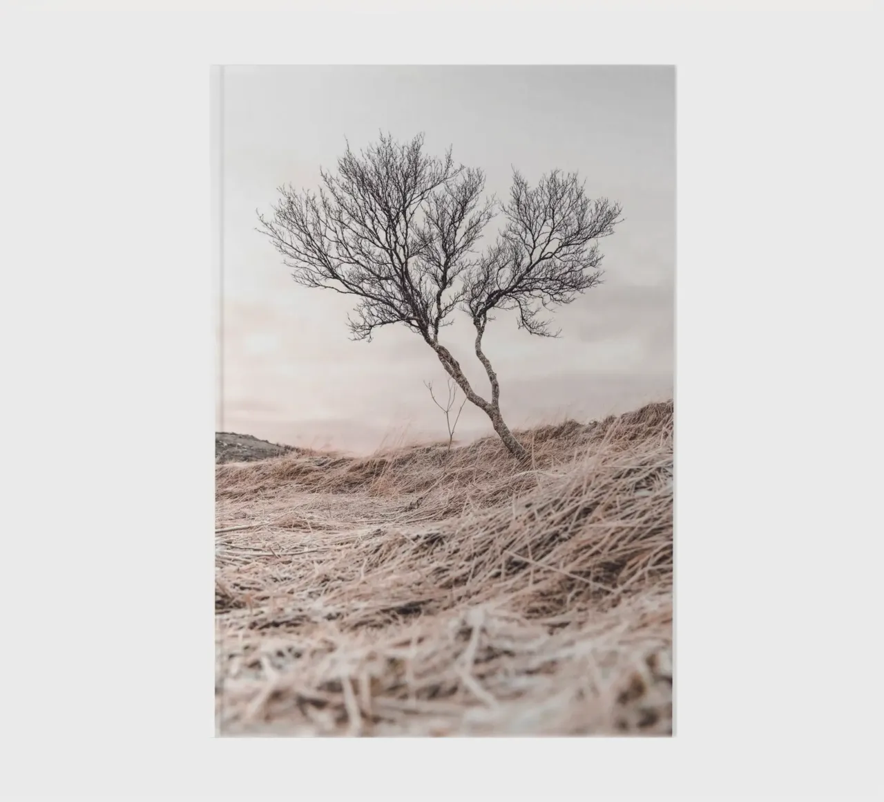 Albero solitario - Arte naturalistica minimalista per stanze tranquille diario da Whole©