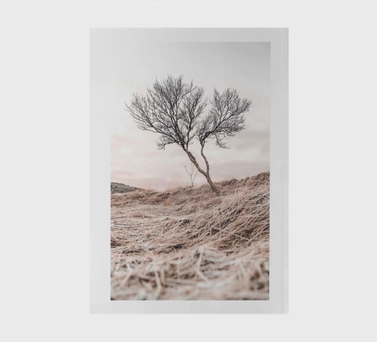 Lone tree - Minimalist nature art for quiet rooms notebook by Whole©