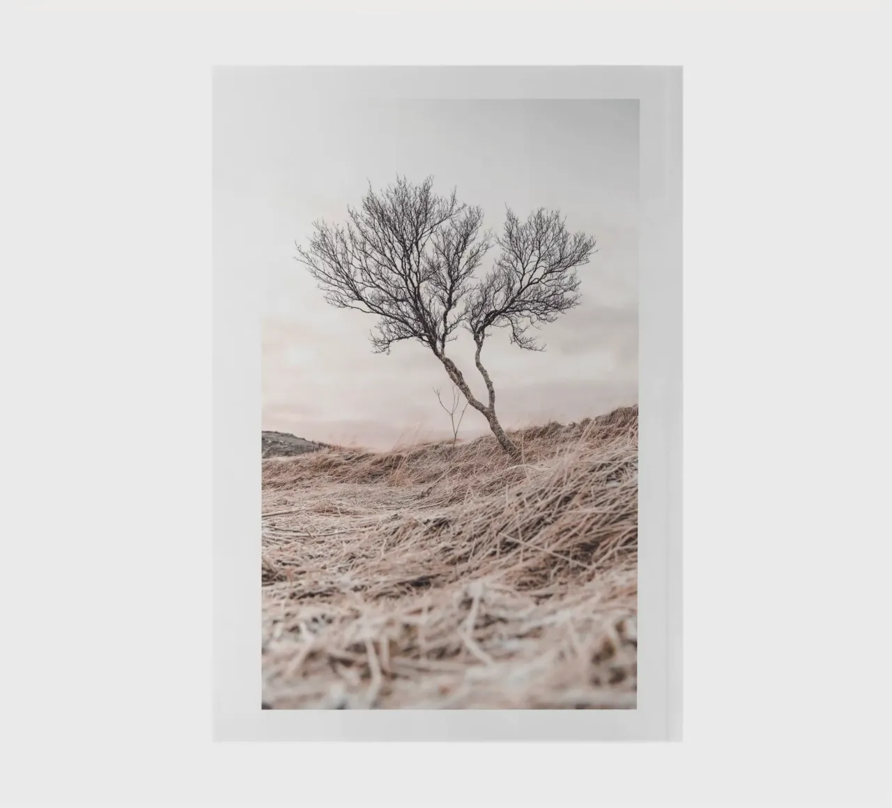 Albero solitario - Arte naturalistica minimalista per stanze tranquille diario da Whole©