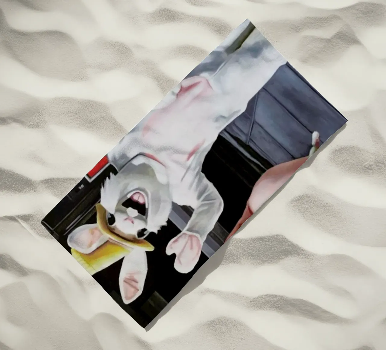 Joyeuses Courses telo mare da Jérôme Romain