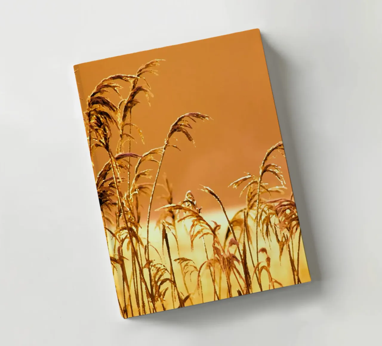 Reeds in the sunset notebook by Something for you