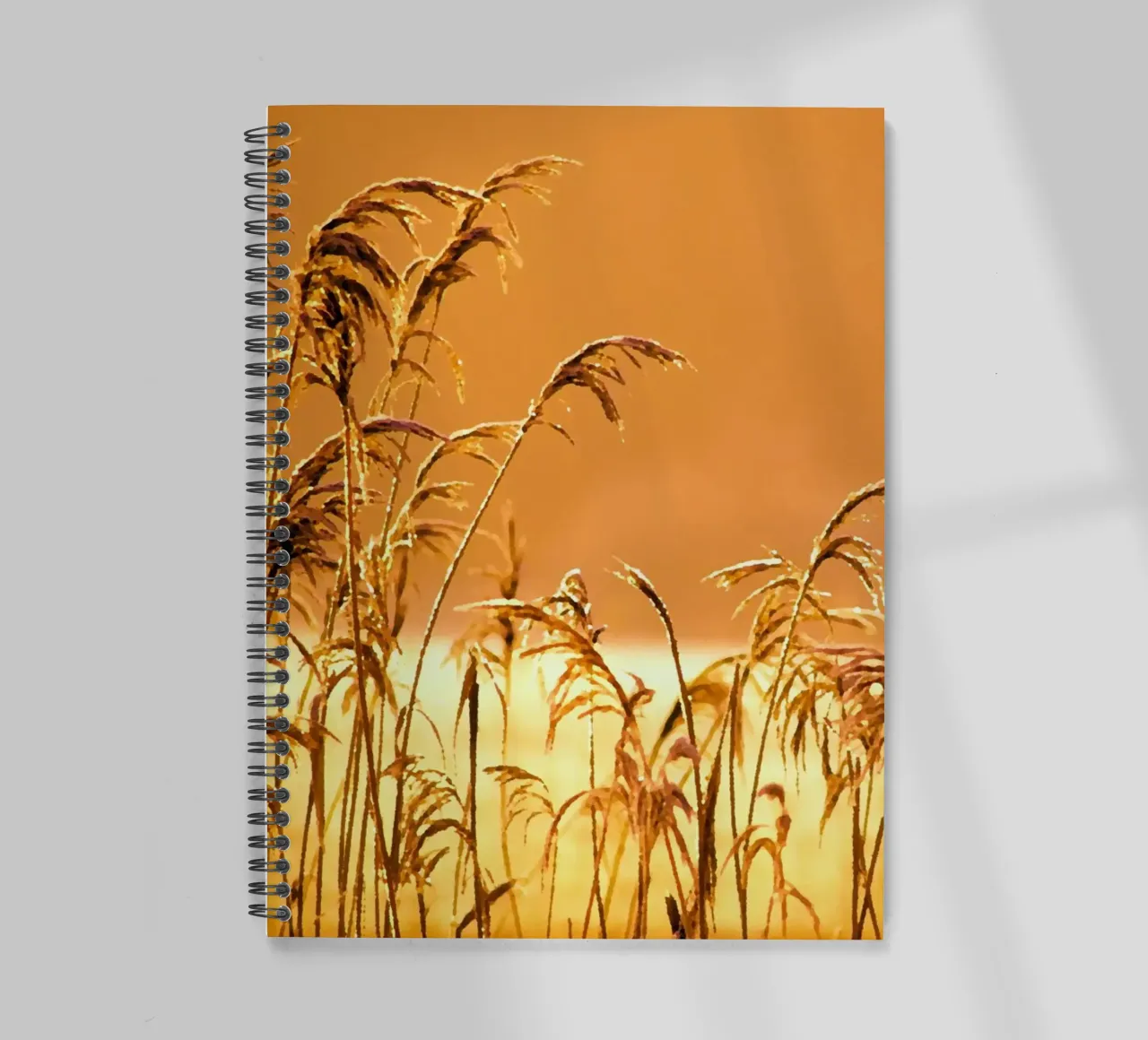 Reeds in the sunset spiral notebook by Something for you