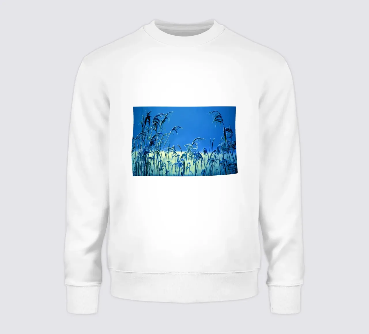 Reeds against a blue background sweatshirt by Something for you