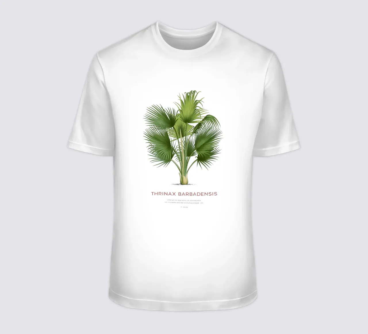 Palma di Latanier balai o Thrinax barbadensis t-shirt da Vintagrafica