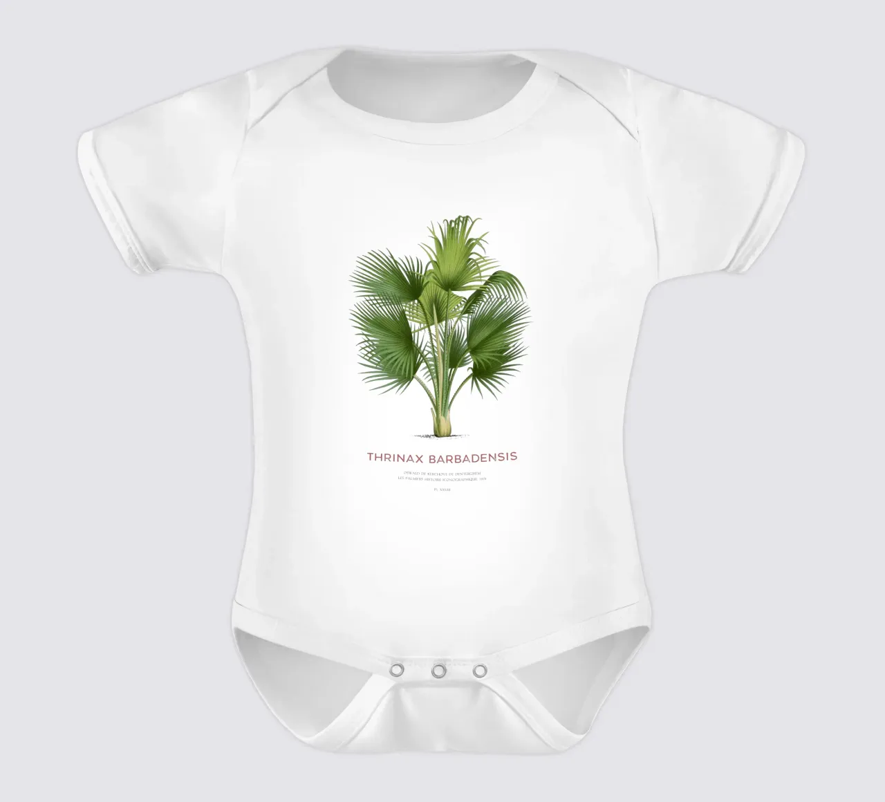 Palma di Latanier balai o Thrinax barbadensis body neonato maniche corte da Vintagrafica