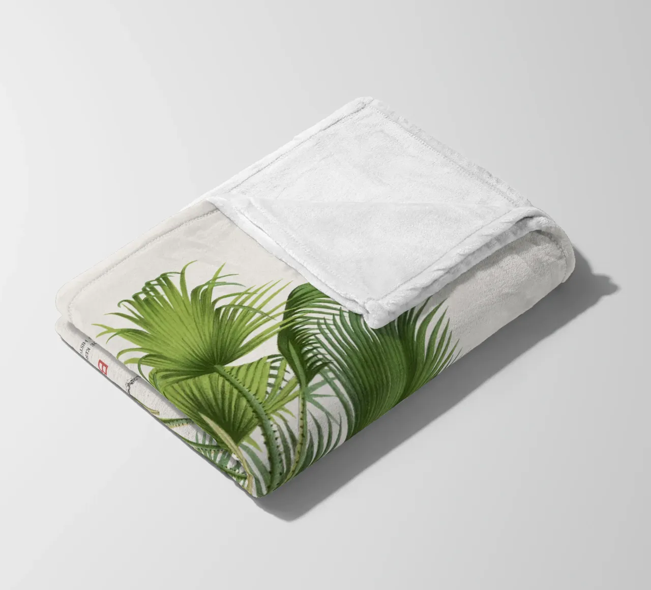 Palma di Latanier balai o Thrinax barbadensis coperta in pile da Vintagrafica