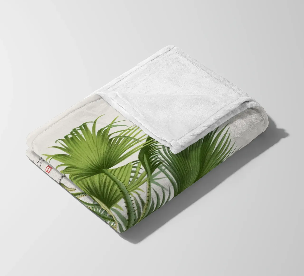 Palma di Latanier balai o Thrinax barbadensis coperta in pile da Vintagrafica