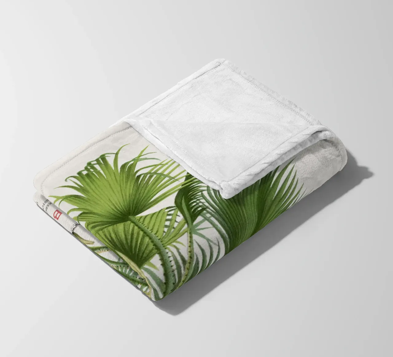 Palma di Latanier balai o Thrinax barbadensis coperta in pile da Vintagrafica