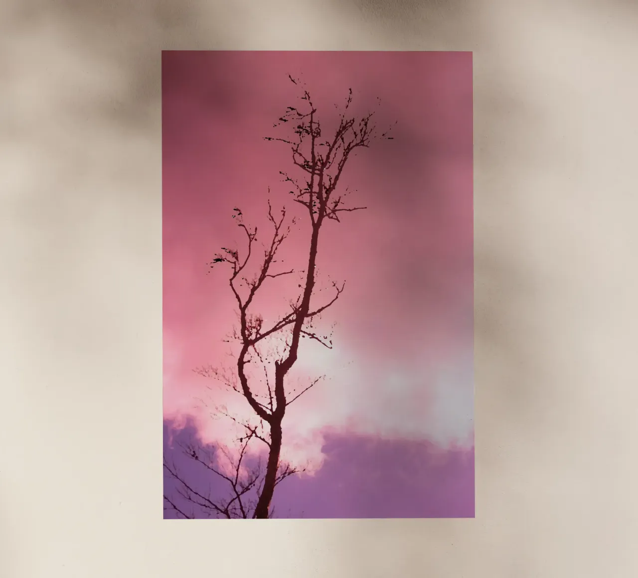 Albero al tramonto pellicola backlit da Something for you