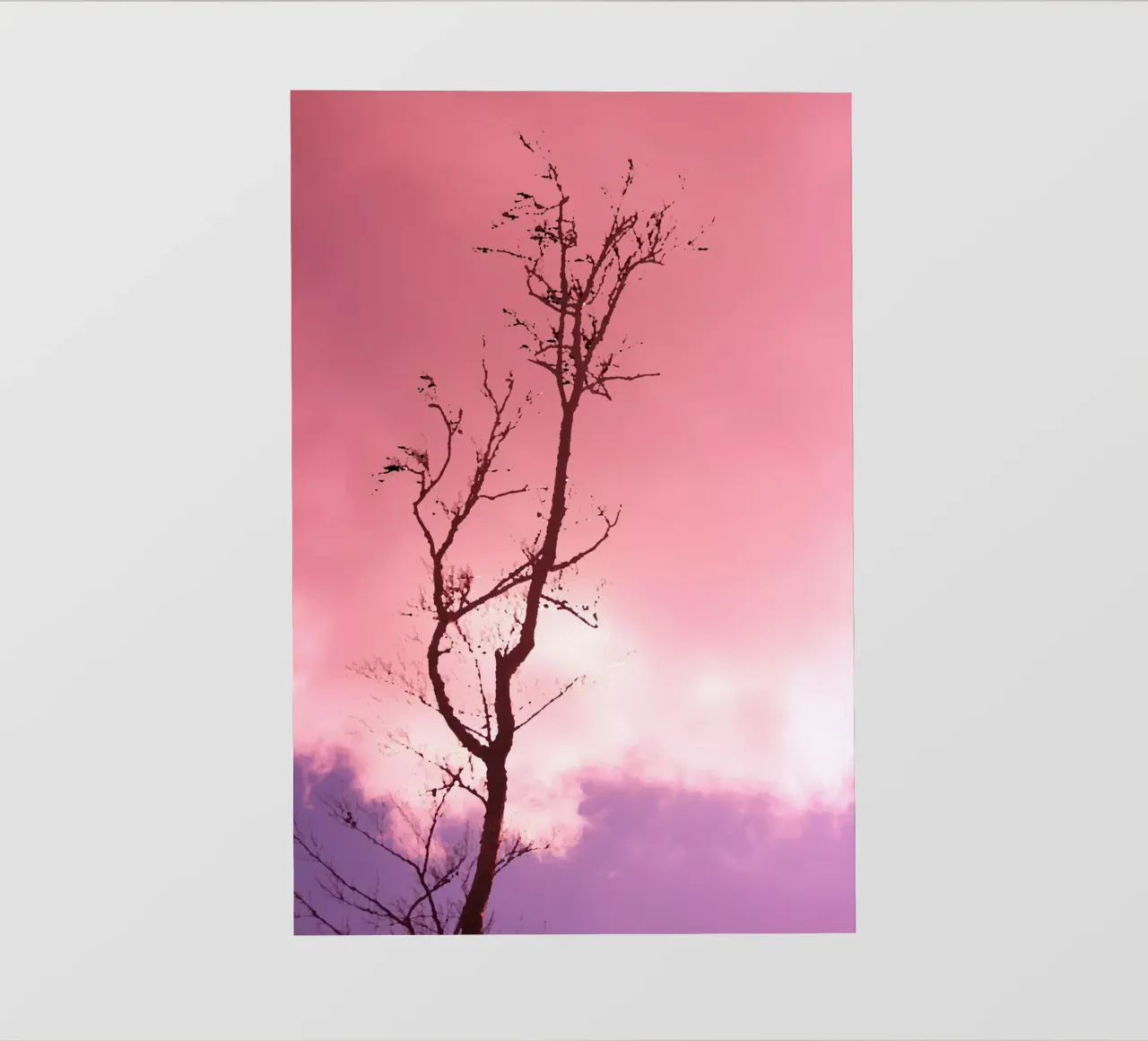 Albero al tramonto telo in pvc da Something for you