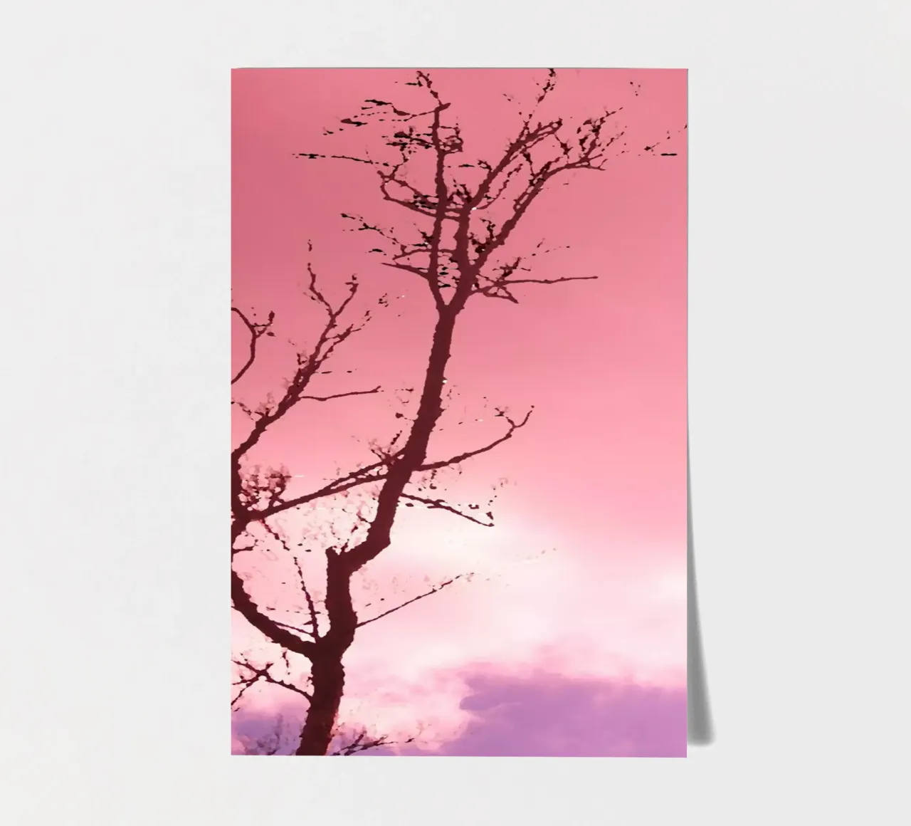 Tree in the sunset sticker sheet by Something for you