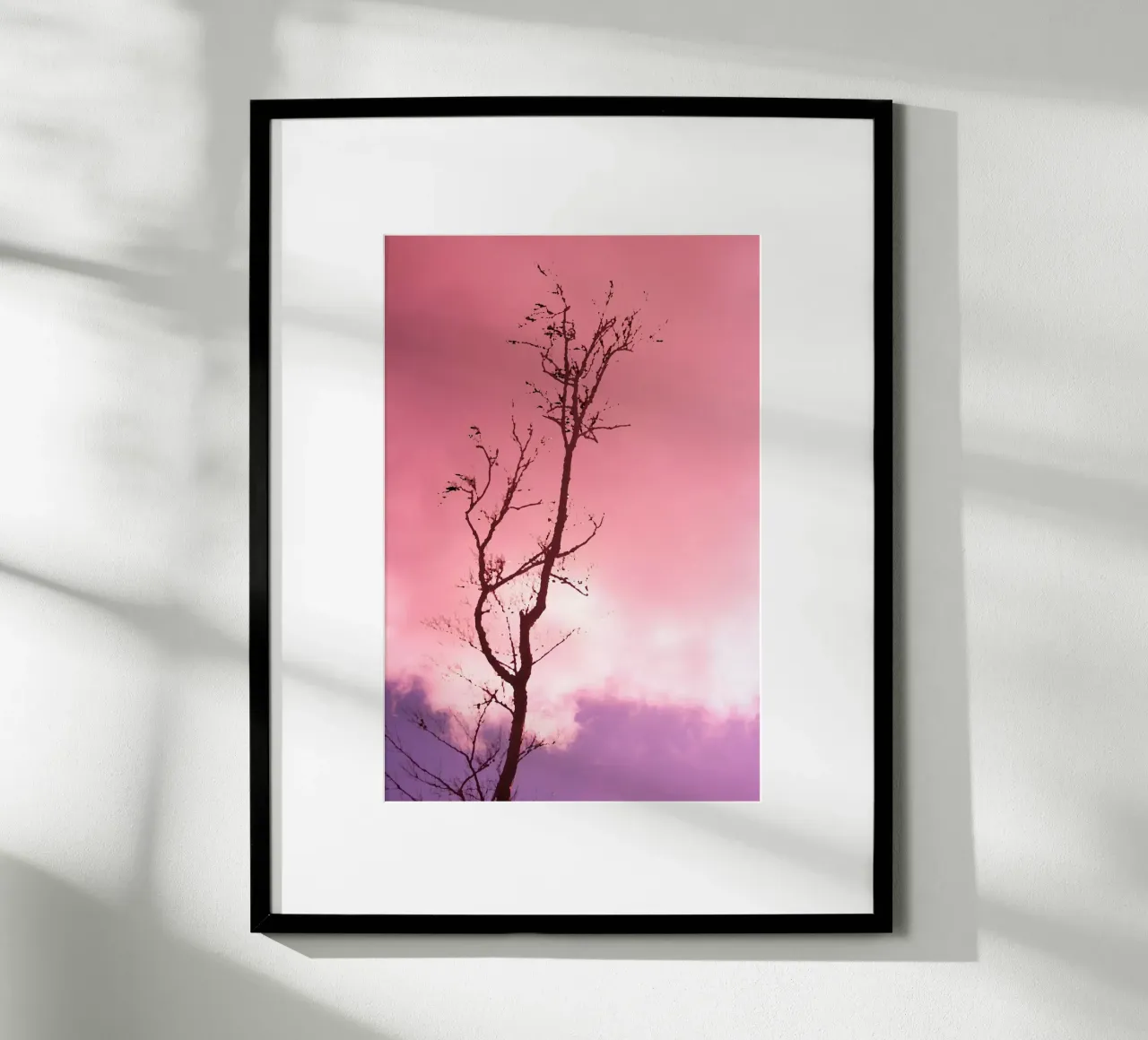 Tree in the sunset hahnemühle by Something for you