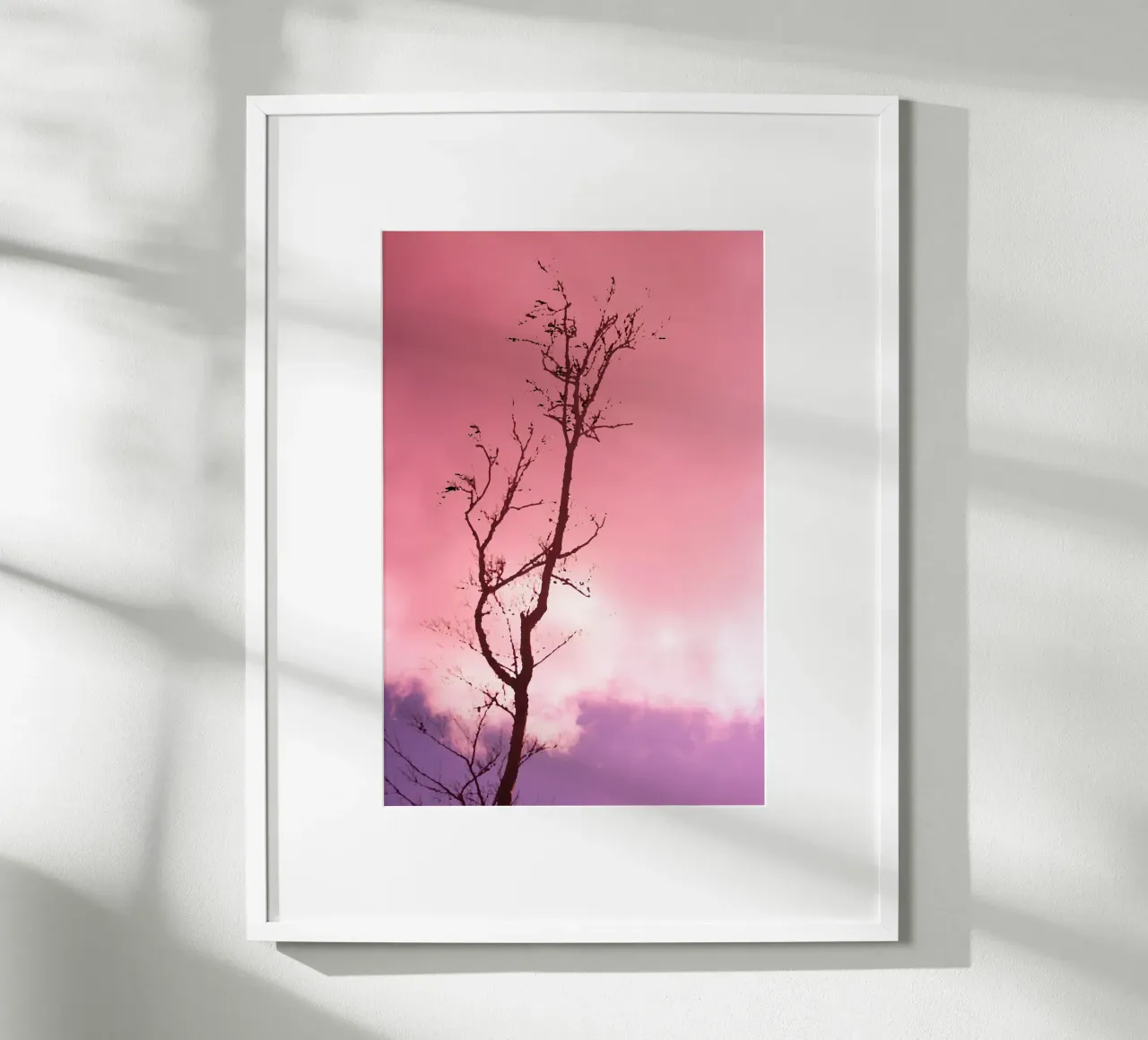 Tree in the sunset hahnemühle by Something for you