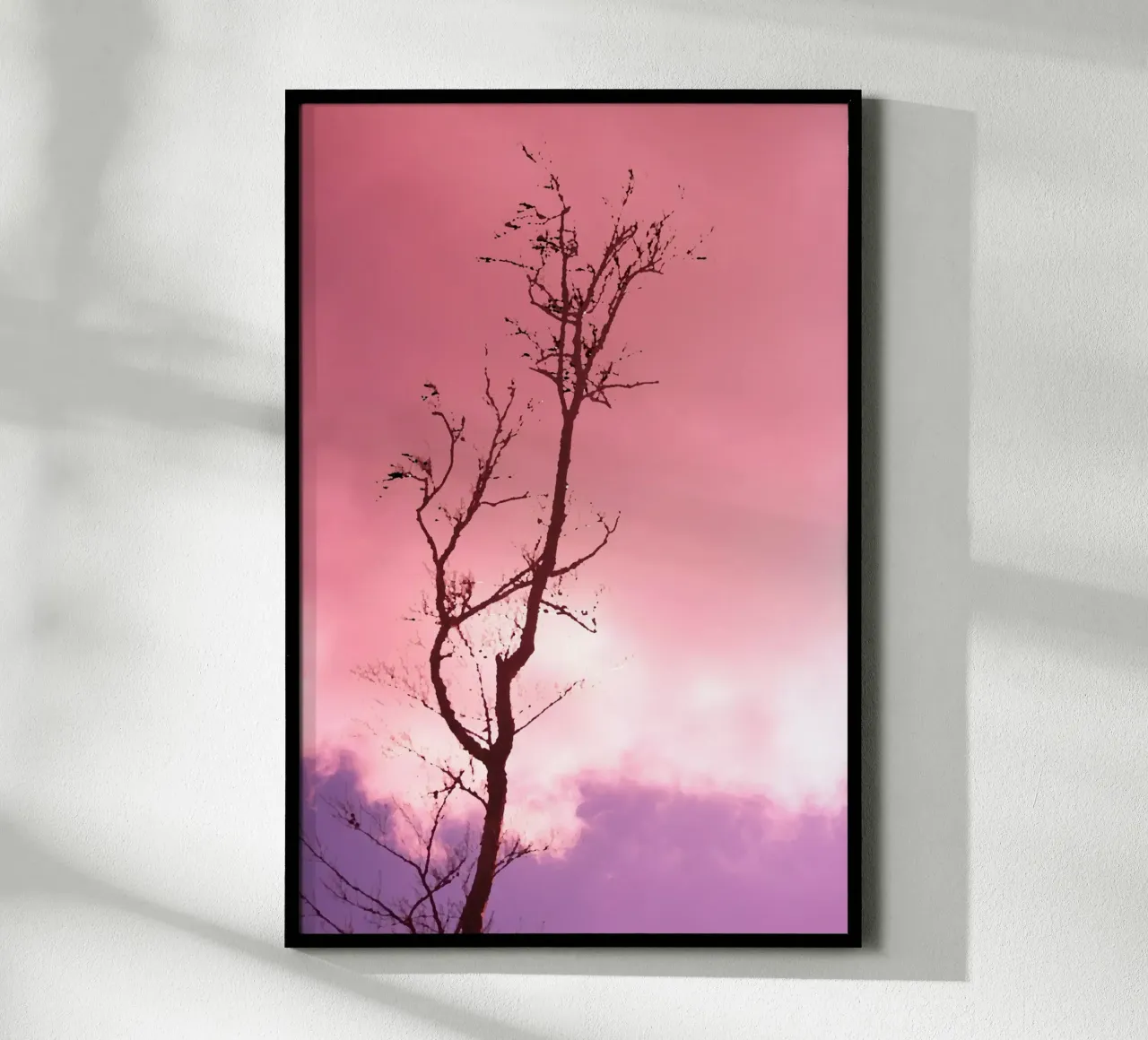 Tree in the sunset hahnemühle by Something for you