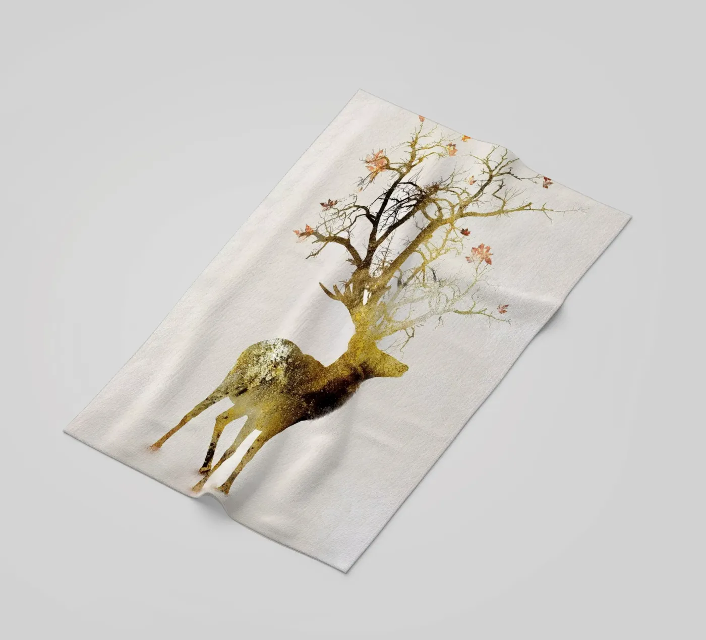 Autumn telo mare da Dániel Taylor