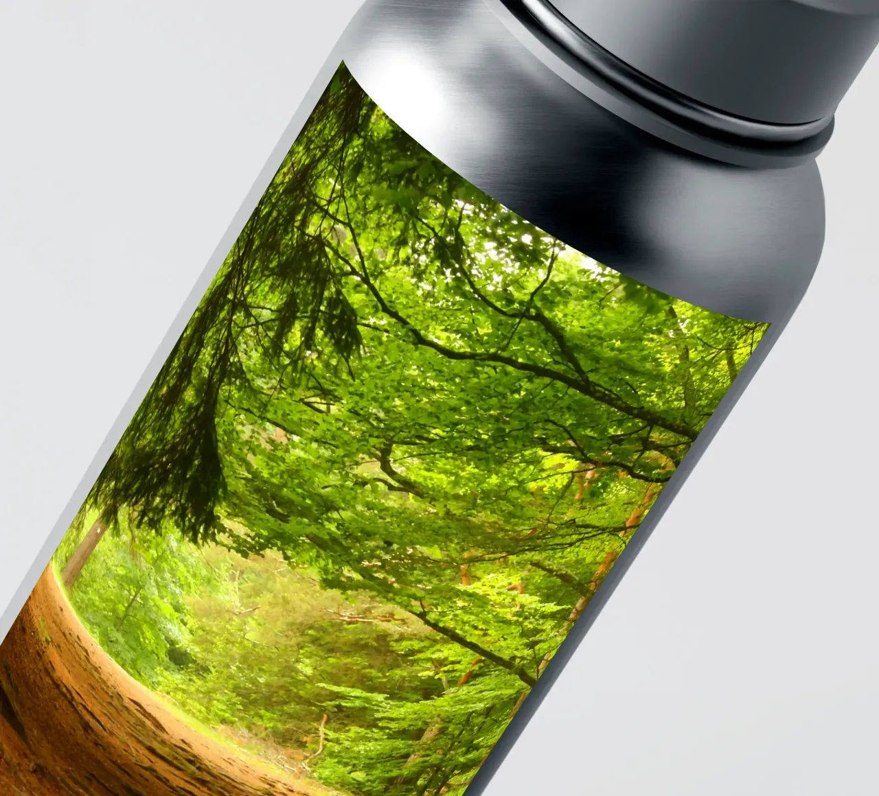 Path in the forest in summer sunshine sticker by Something for you