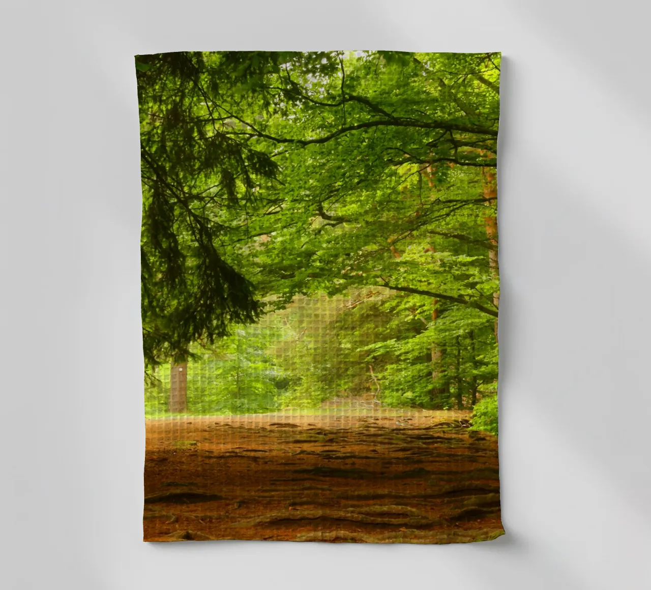 Path in the forest in summer sunshine tea towel by Something for you