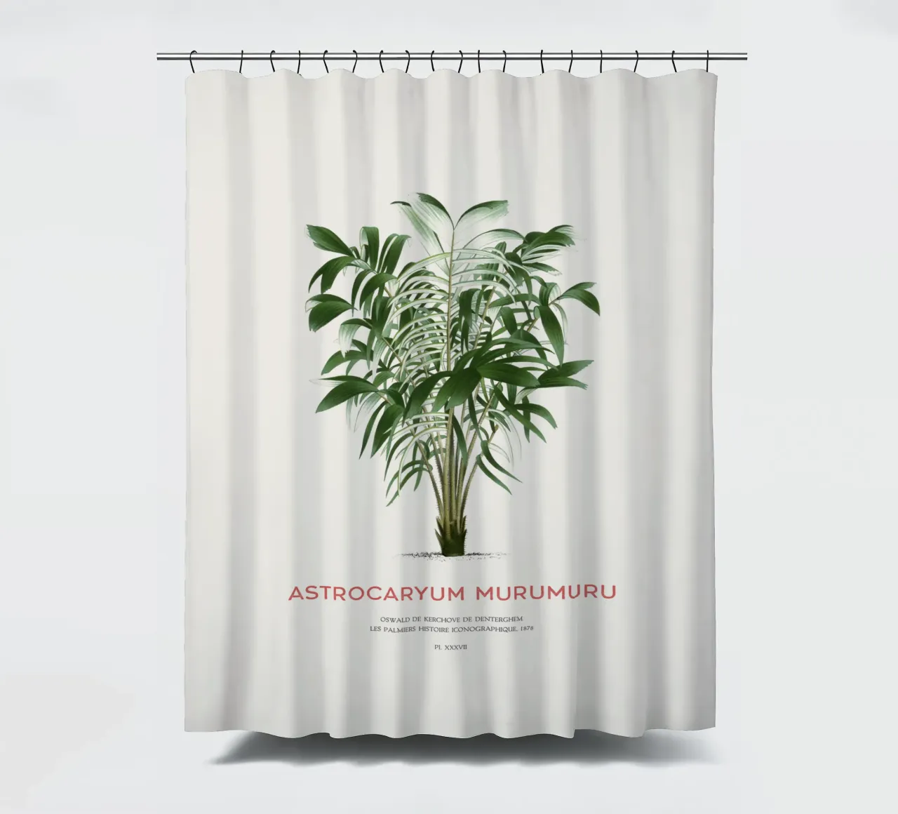 Murumuru-Palme oder Astrocaryum murumuru Duschvorhang von Vintagrafica