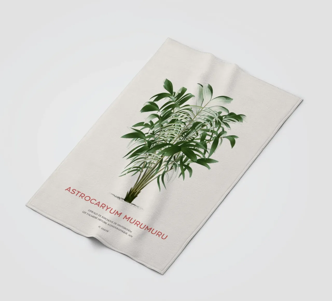 Murumuru-Palme oder Astrocaryum murumuru Fleecedecke von Vintagrafica