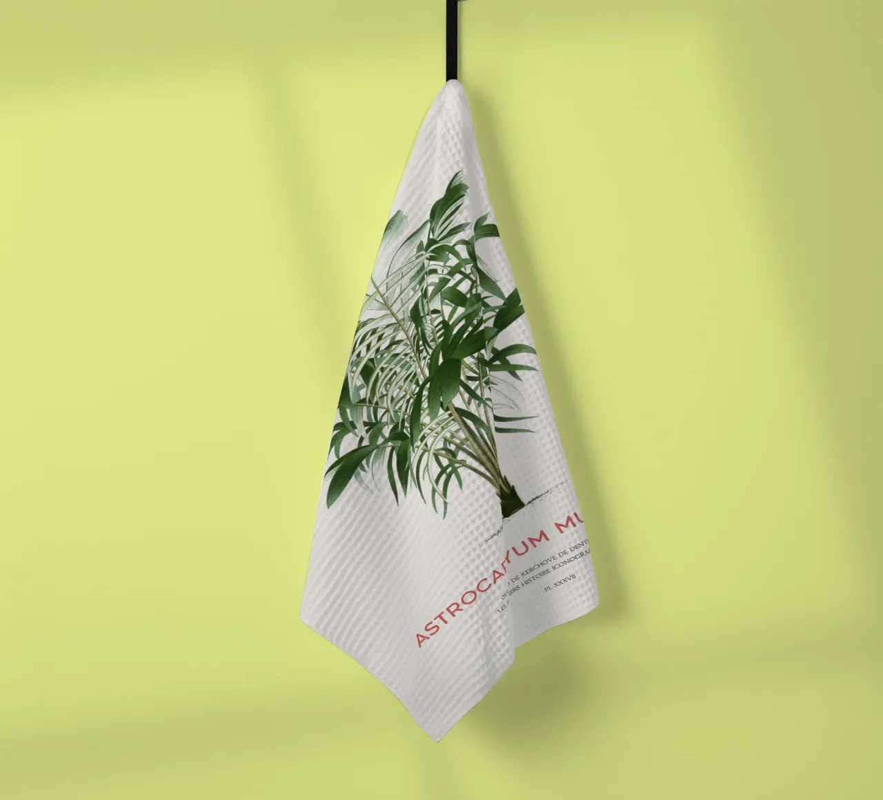 Murumuru-Palme oder Astrocaryum murumuru Geschirrtuch von Vintagrafica
