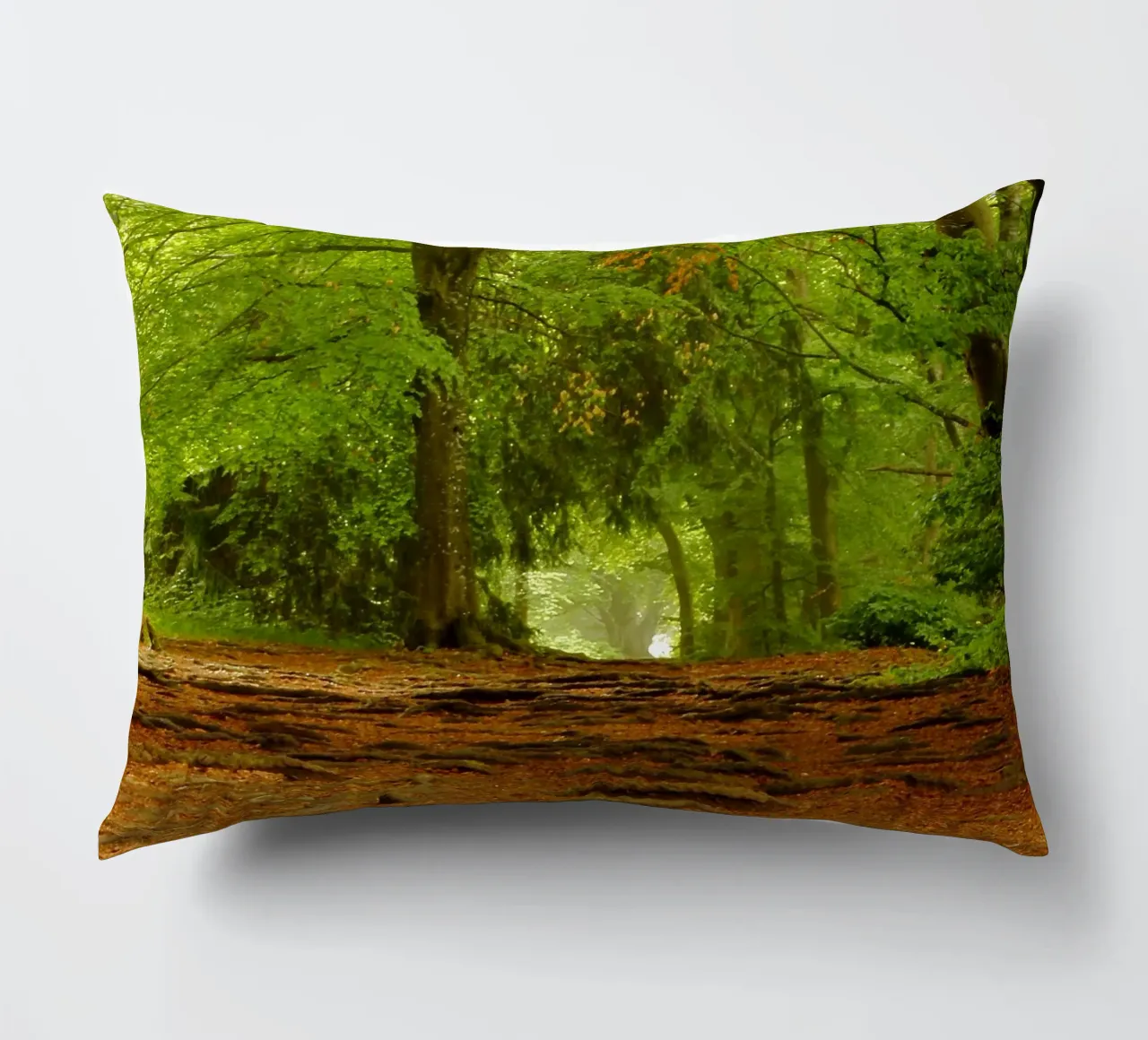 Path in the forest in summer sunshine decorative cushion by Something for you