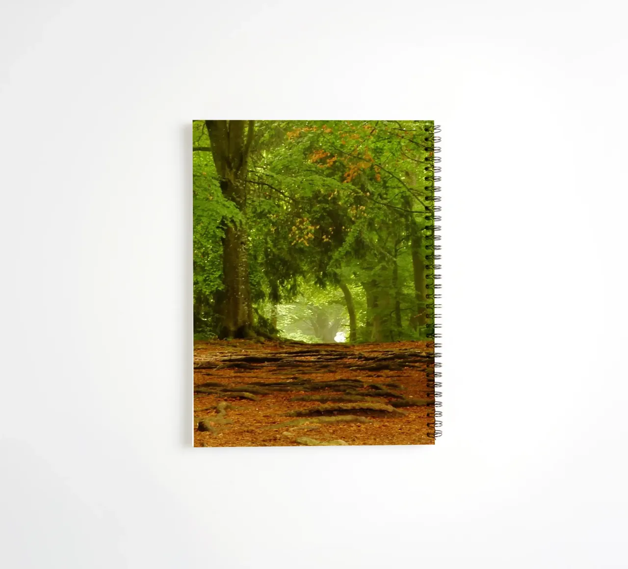 Path in the forest in summer sunshine spiral notebook by Something for you