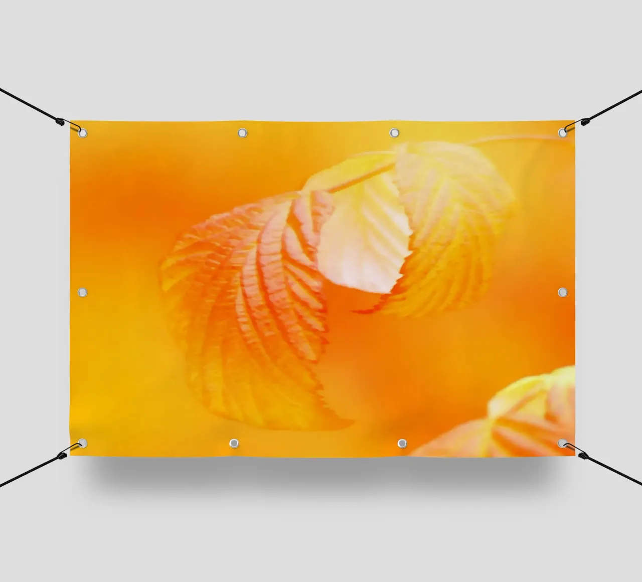 Foglie di un albero in autunno telo in pvc da Something for you