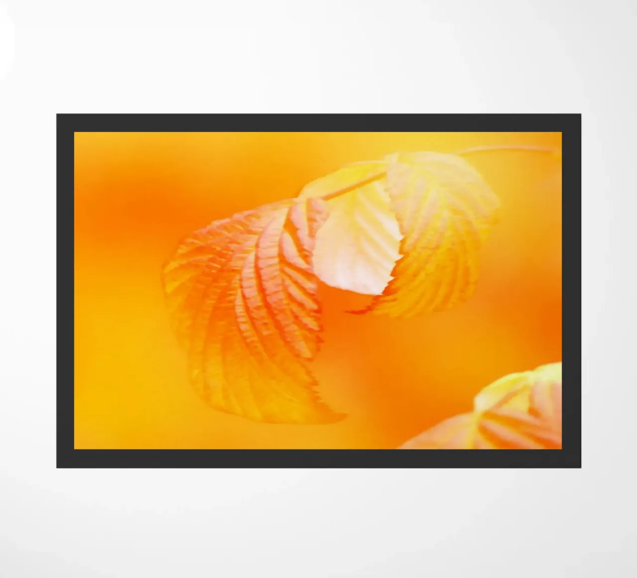 Foglie di un albero in autunno zerbino da Something for you