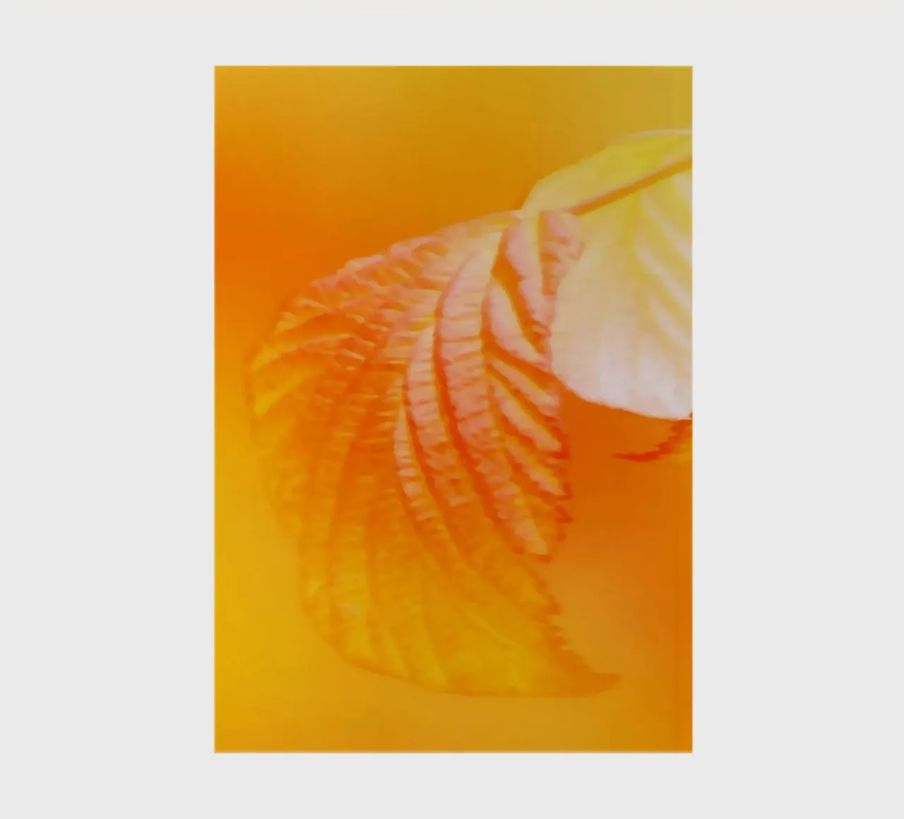Leaves of a tree in autumn notebook by Something for you