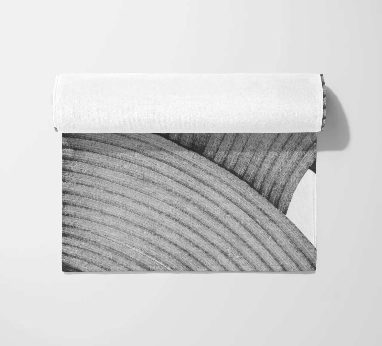 Ashes telo mare da studiosantai