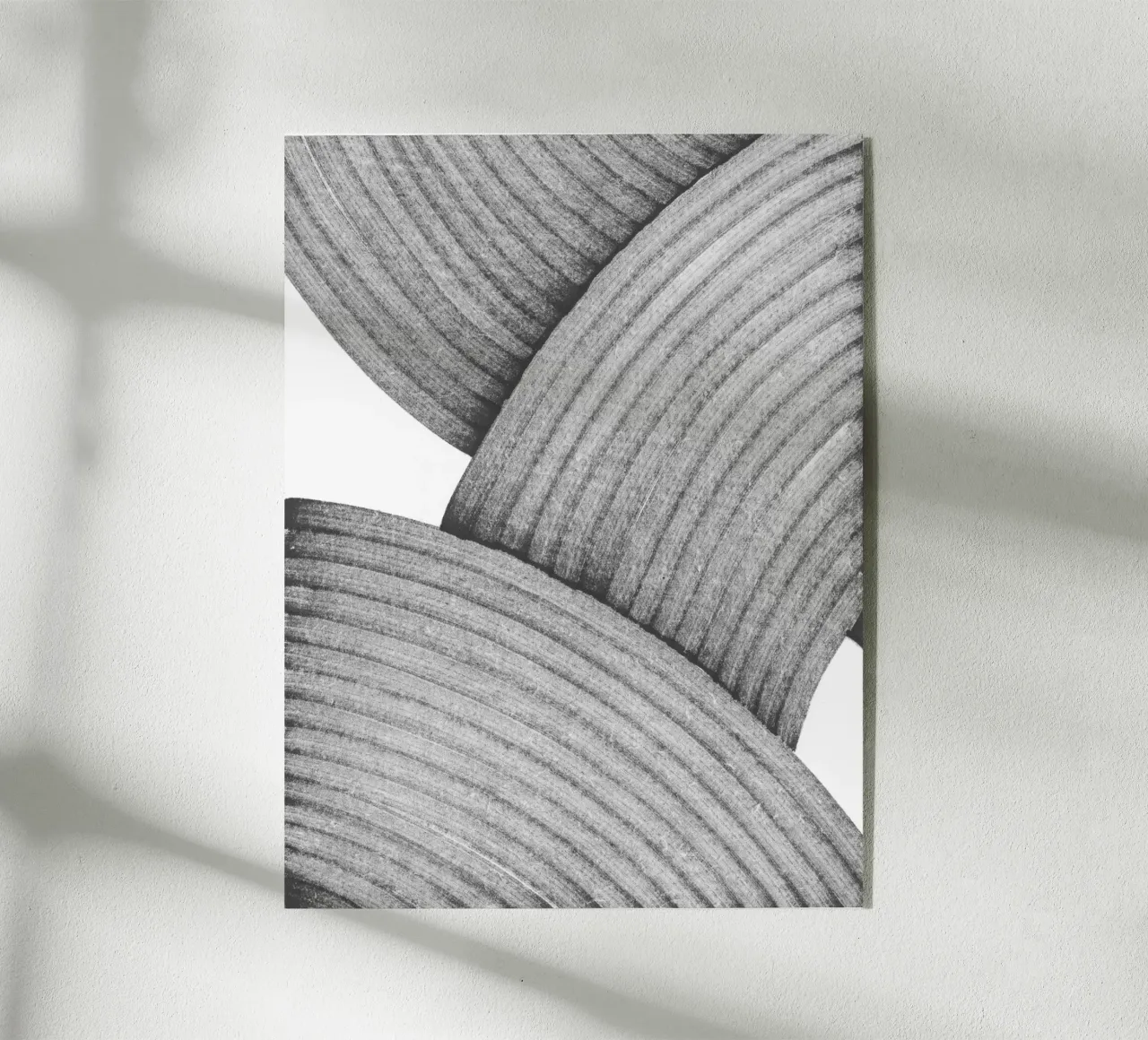 Ashes plexiglass da studiosantai