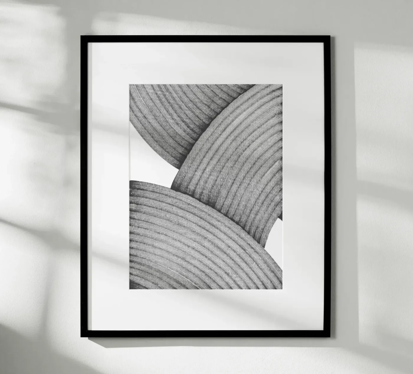 Ashes Poster von studiosantai