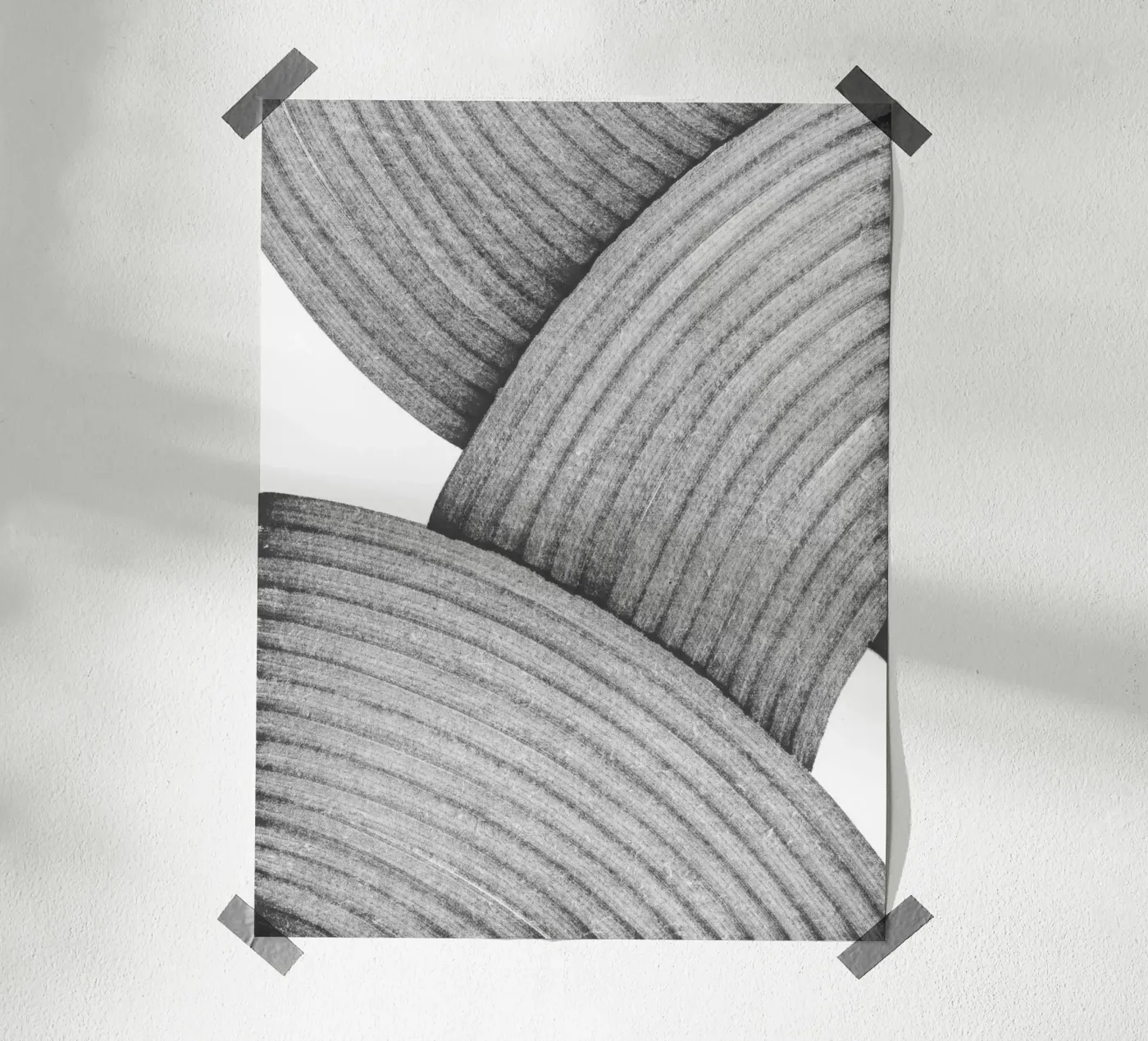 Ashes poster by studiosantai